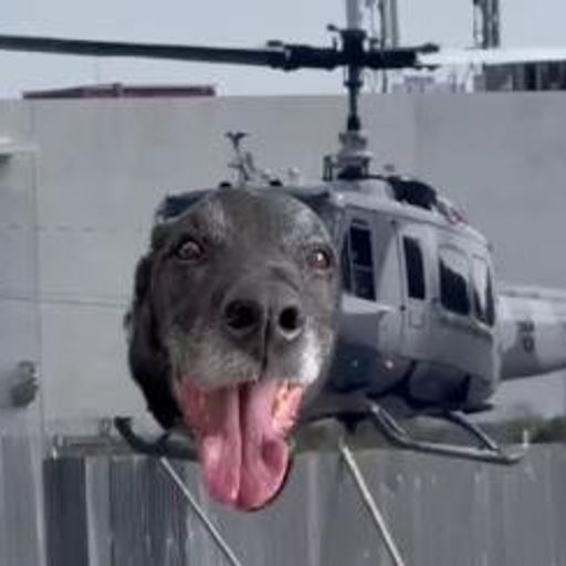 HELIDOG