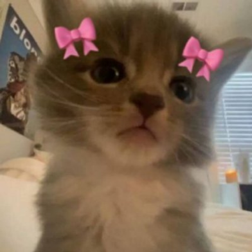 ily