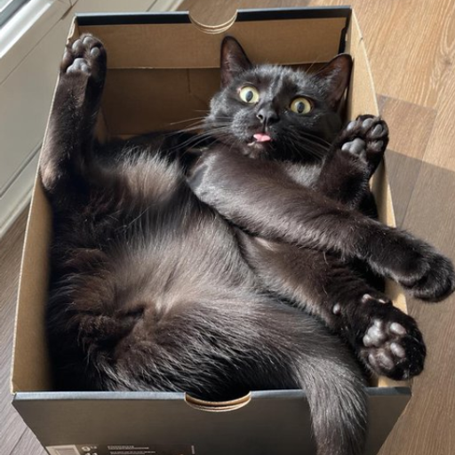 CIB