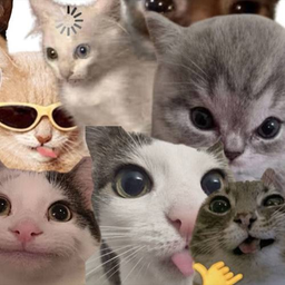 CTO