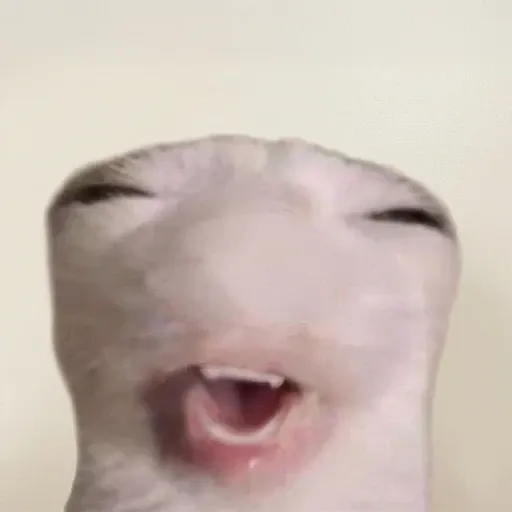 cet