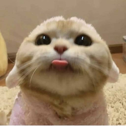 Blep