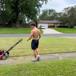 LAWN1313