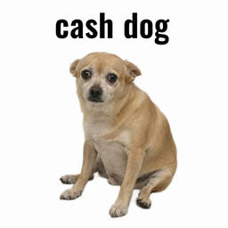 CASHDOG