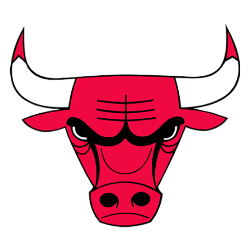 THEBULLS