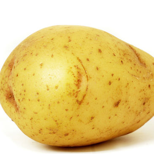 Potato