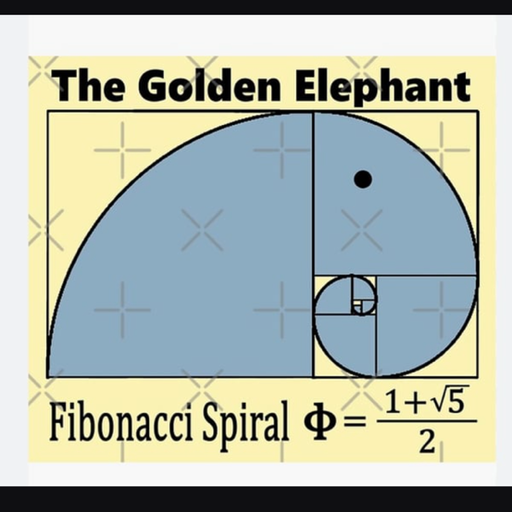 FIB
