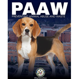 PAAW
