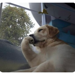 Thinker