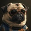 PUG