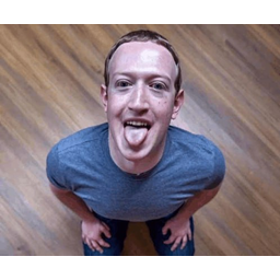 ZUCKERVERSE