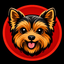 Yorkie