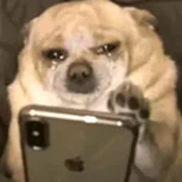 sobdog