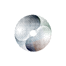 C81