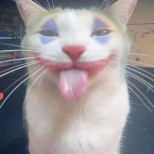 catardio