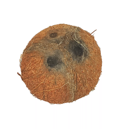 COCO