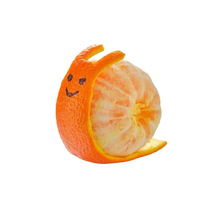 🐌+🍊
