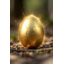 GoldEgg