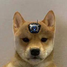 IMPLANT