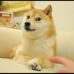 DOGE