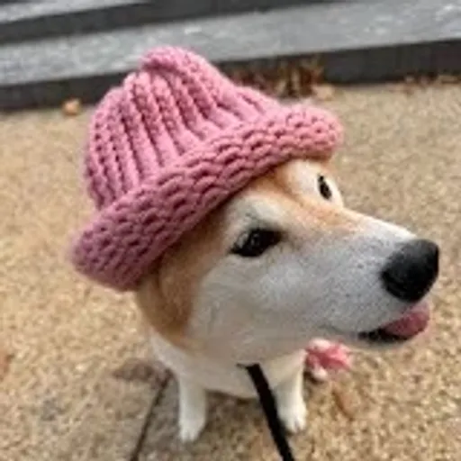 Achi