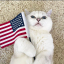 AMERICAT
