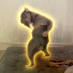 RABMON