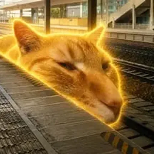 Tcat