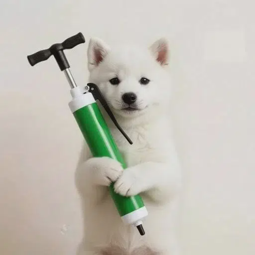 Pump