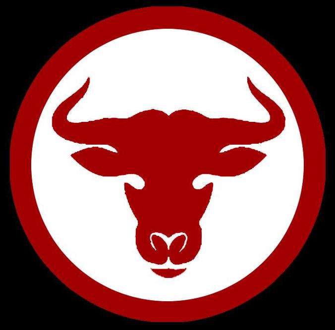 BULLS