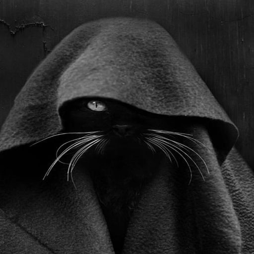 VOID