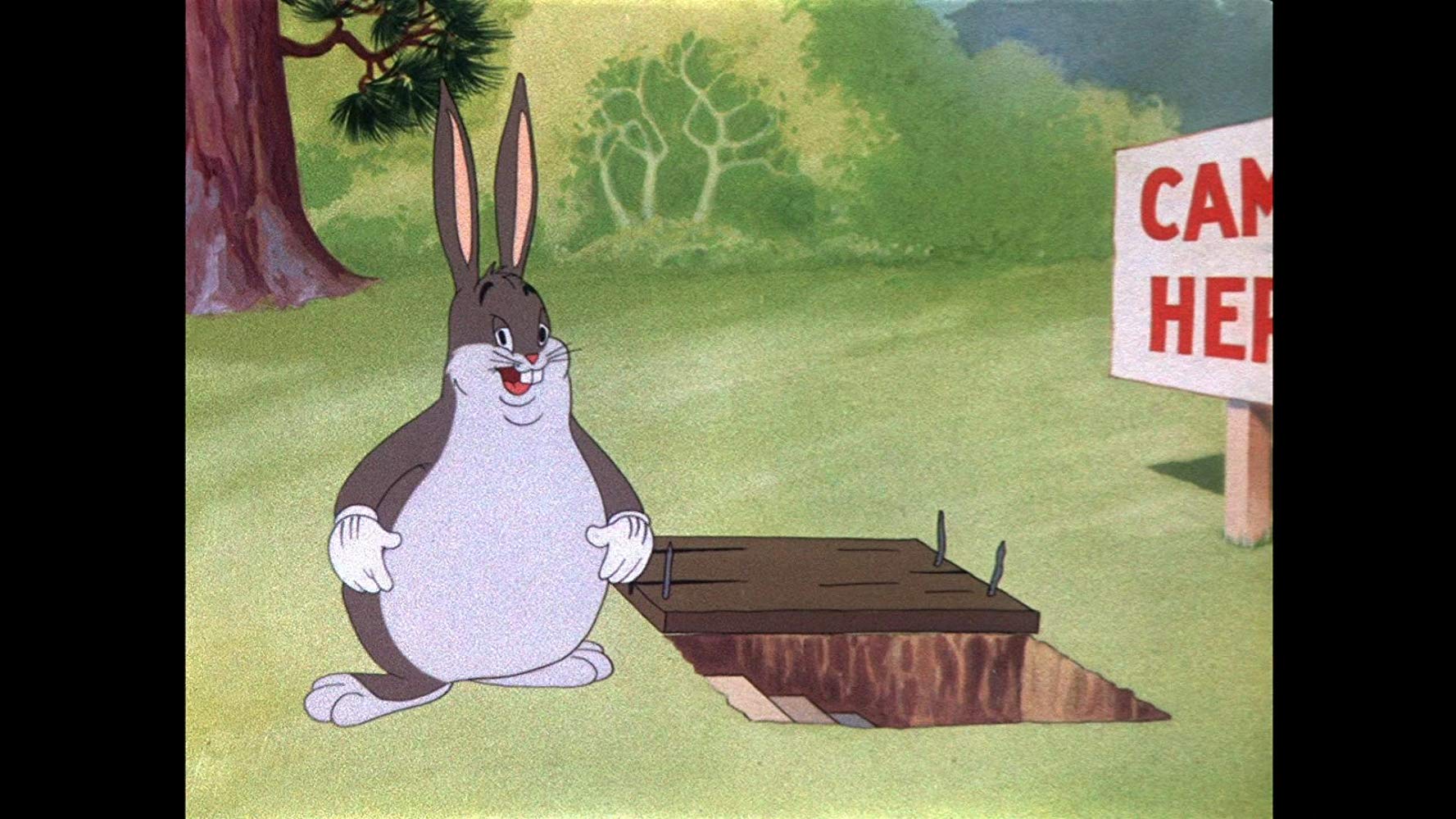 CHUNGUS