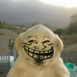 Trollchua