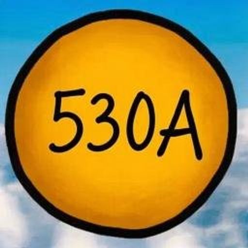 530A 