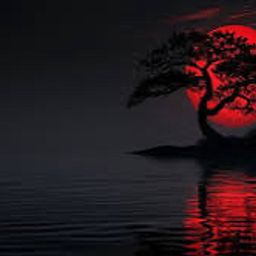 MOOON