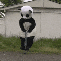 Pogo Panda