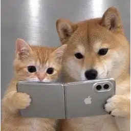 DUO