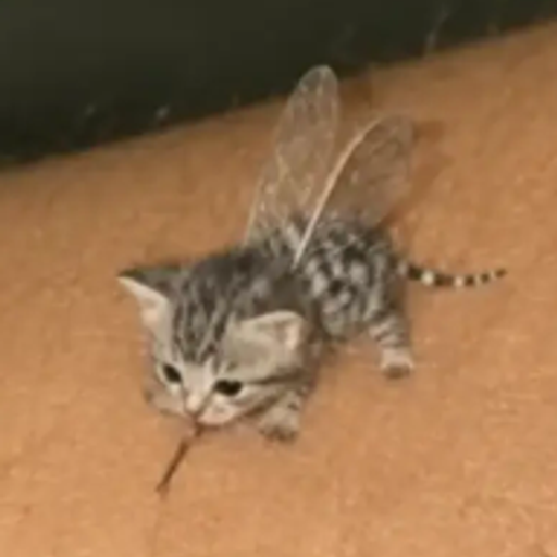 MEOWSQUITO