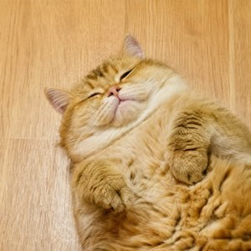 HOSICO