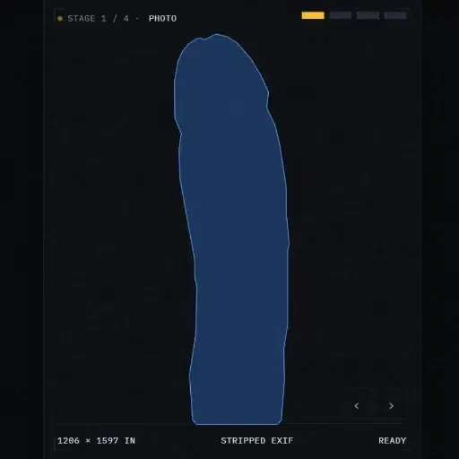 RMD