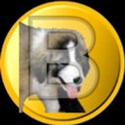 BUFFYCOIN