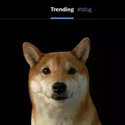 #dog