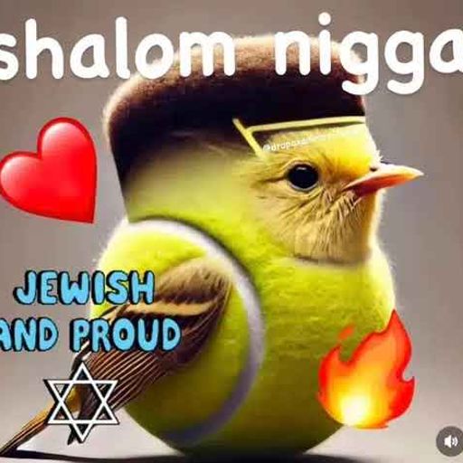 Shalom