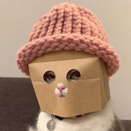 ZCATWIF