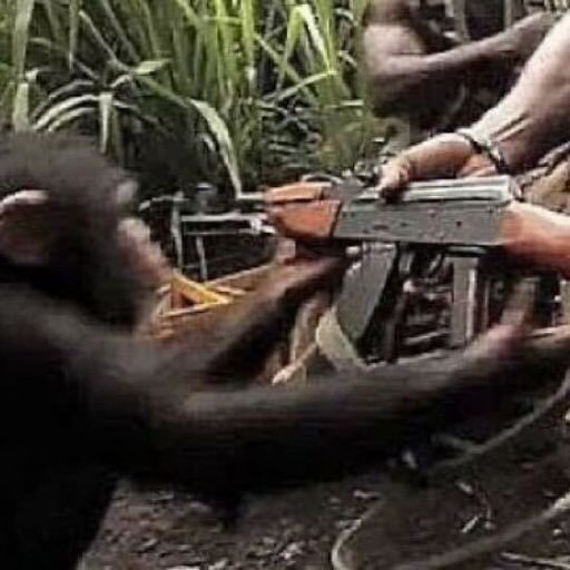 monkeygun