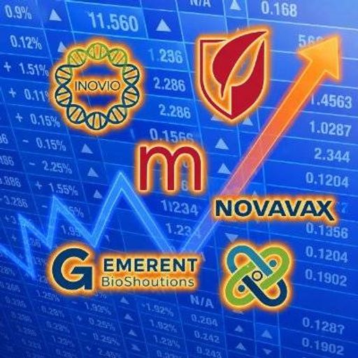 IGMNE6900