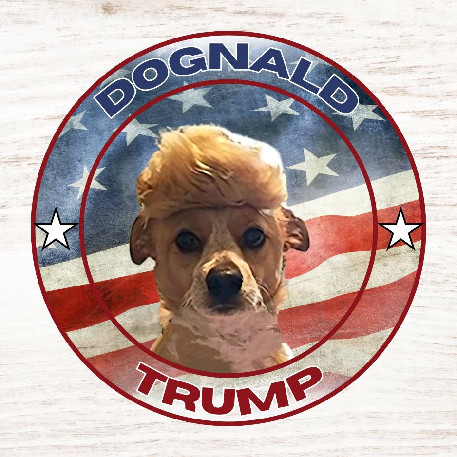 DOGNALD
