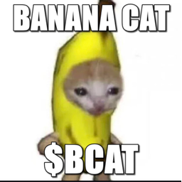 BCAT
