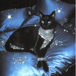 DIVA