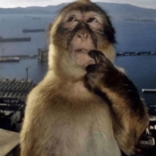 monke